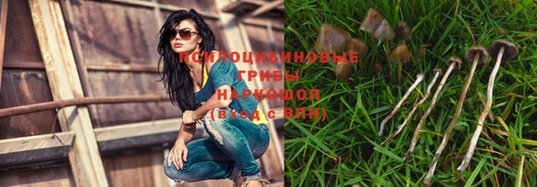 MDMA Premium VHQ Гусиноозёрск
