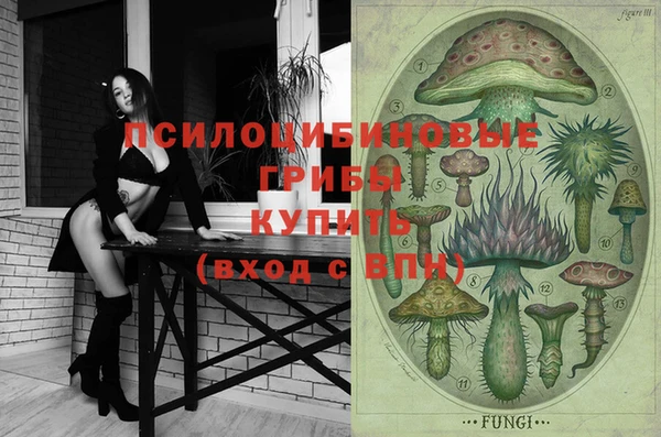 гидропоника Гусь-Хрустальный