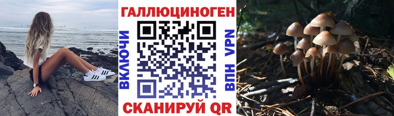 KRAKEN вход  купить наркотик  Медногорск  Галлюциногенные грибы мицелий 