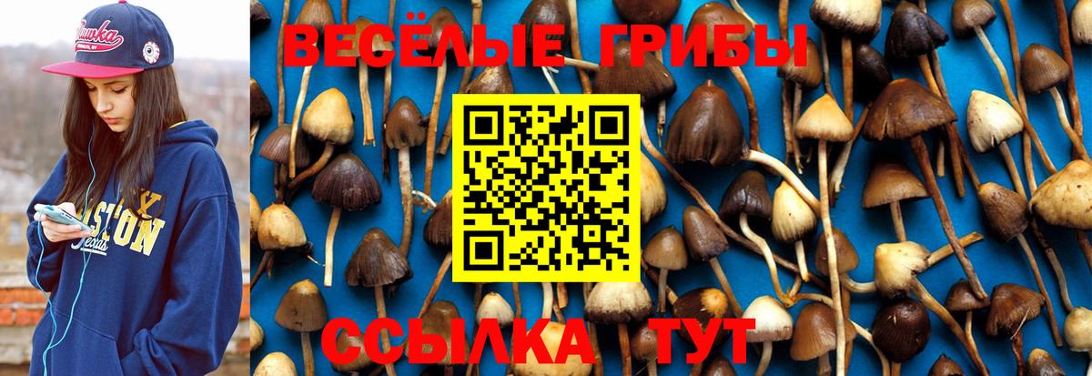 Галлюциногенные грибы GOLDEN TEACHER  Вход с VPN  Медногорск 